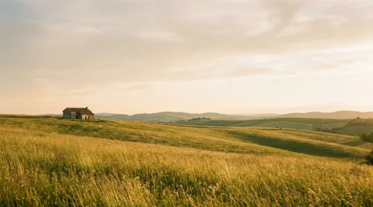 Prairie verdoyante au coucher du soleil avec une lumière dorée baignant le paysage rural français