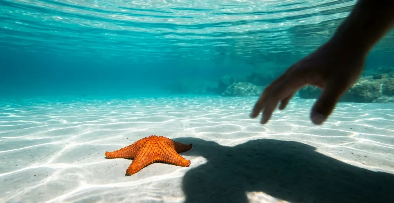 Gros plan sur une étoile de mer orange dans le sable sous l'eau cristalline avec l'ombre d'une main s'approchant