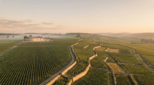 Vue comparative de vignobles de Bordeaux et de Bourgogne avec châteaux prestigieux